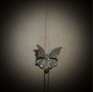 Meet your Posher, Eileen